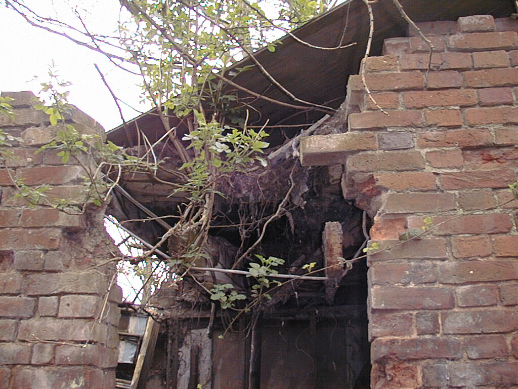 Close up of dereliction