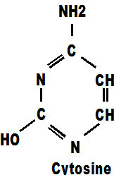 cytosine